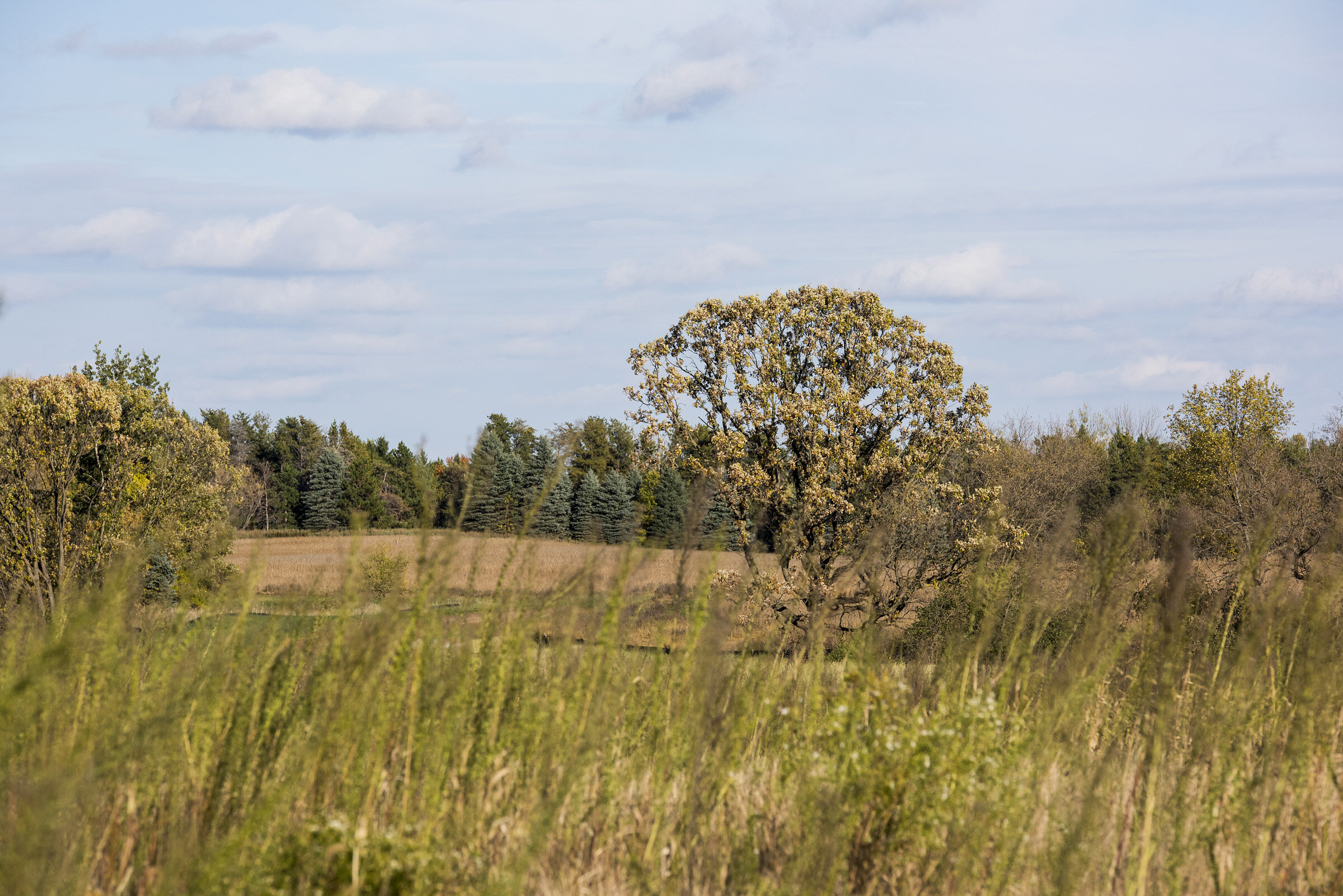 White Oaks Savanna—Luxury Home Sites in Stillwater, MN